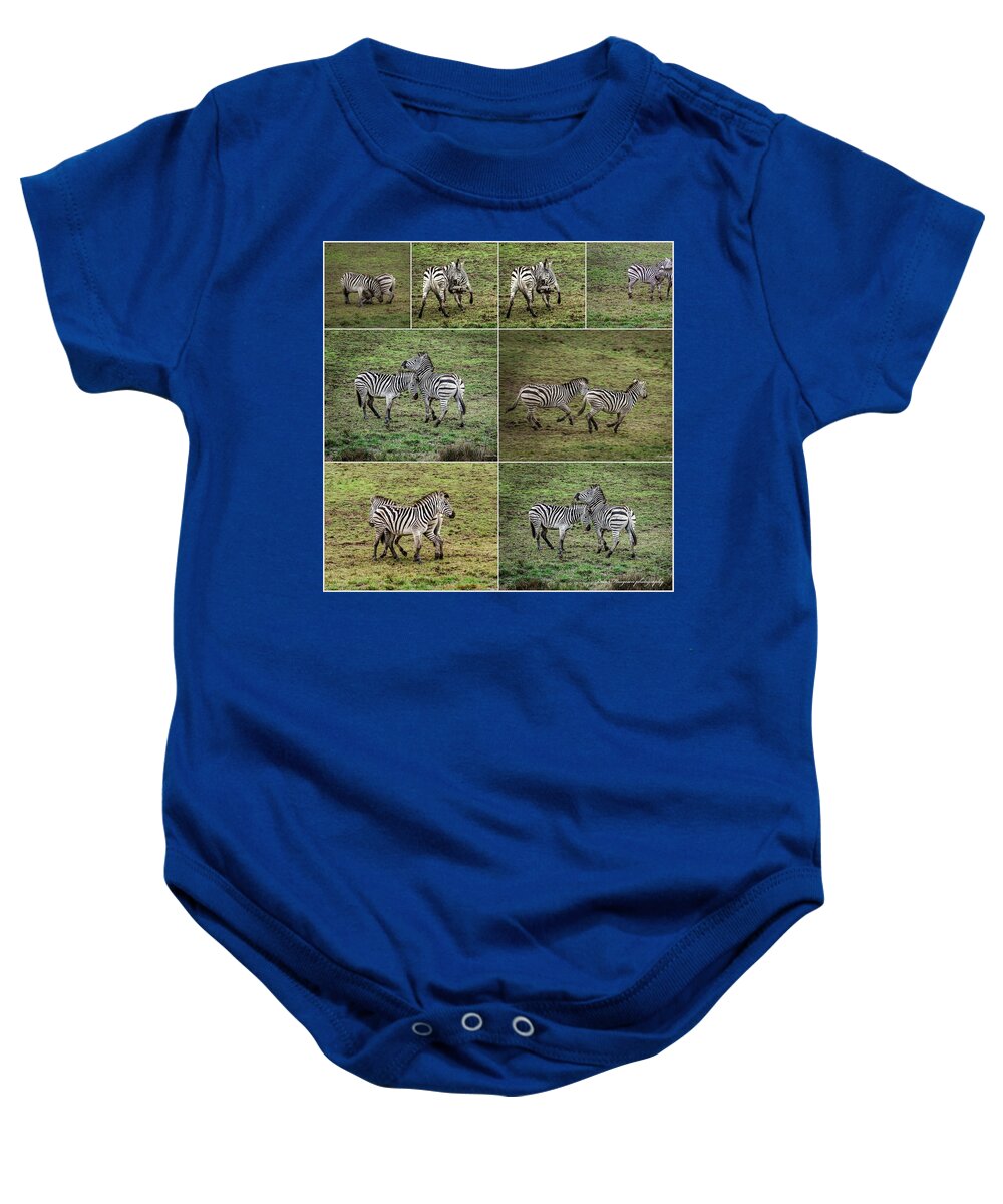 Zebras in play - Baby Onesie
