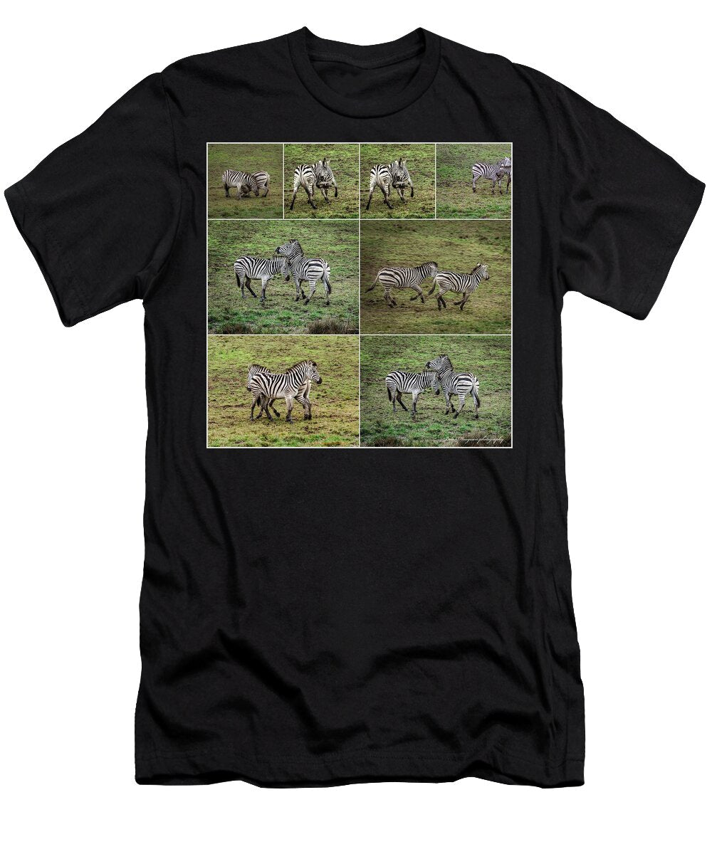 Zebras in play - T-Shirt