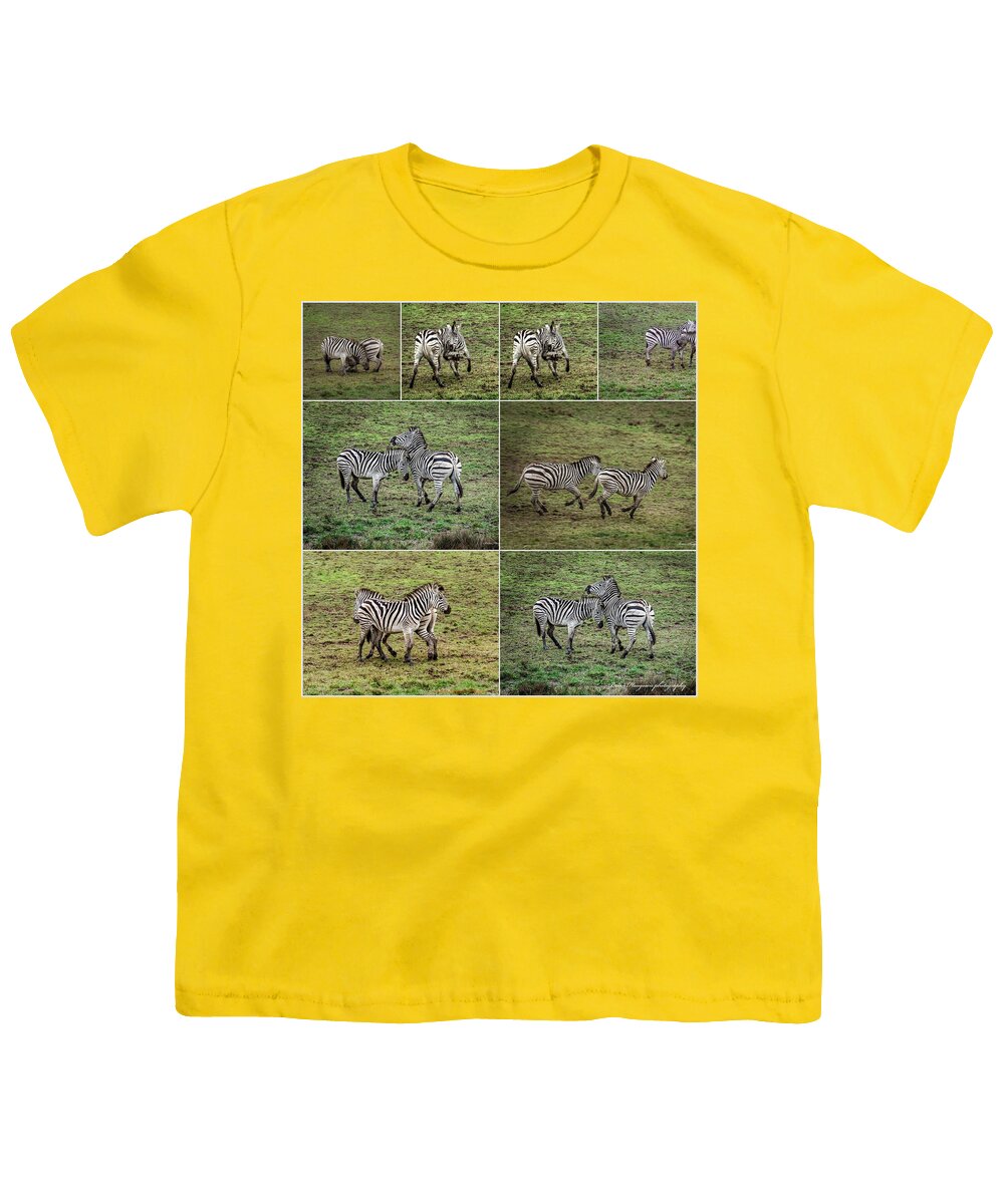 Zebras in play - Youth T-Shirt