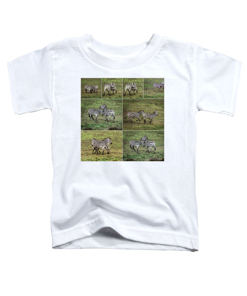 Zebras in play - Toddler T-Shirt