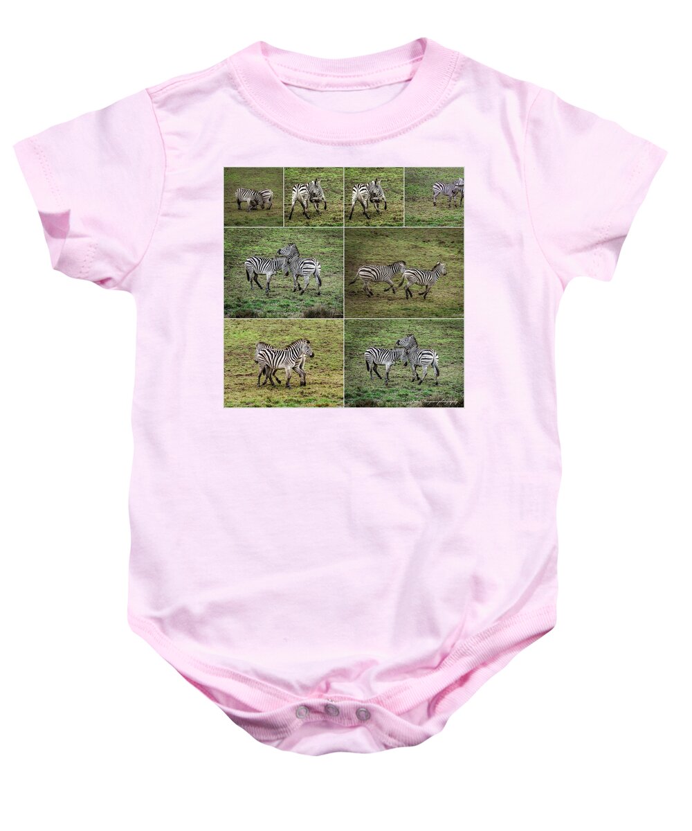 Zebras in play - Baby Onesie
