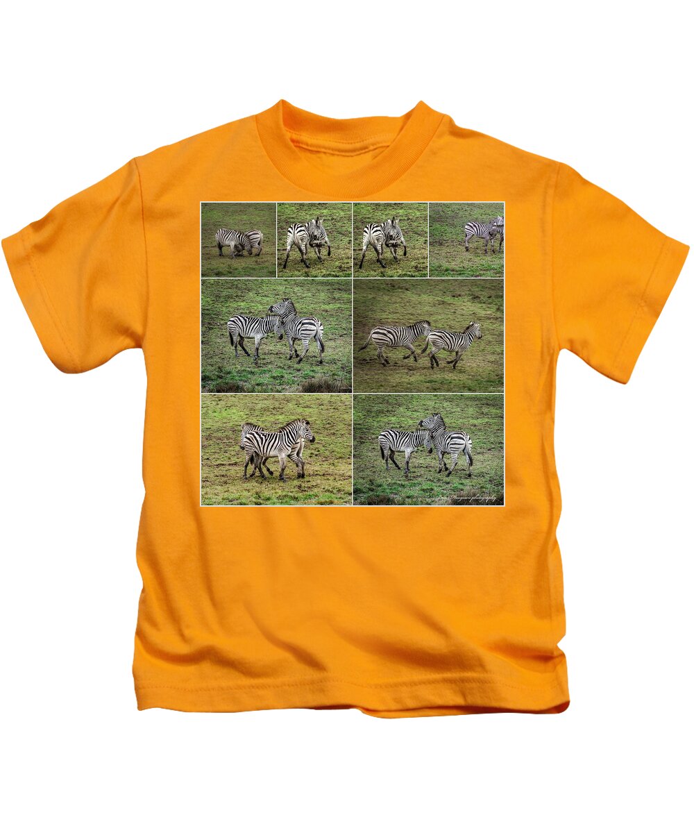 Zebras in play - Kids T-Shirt