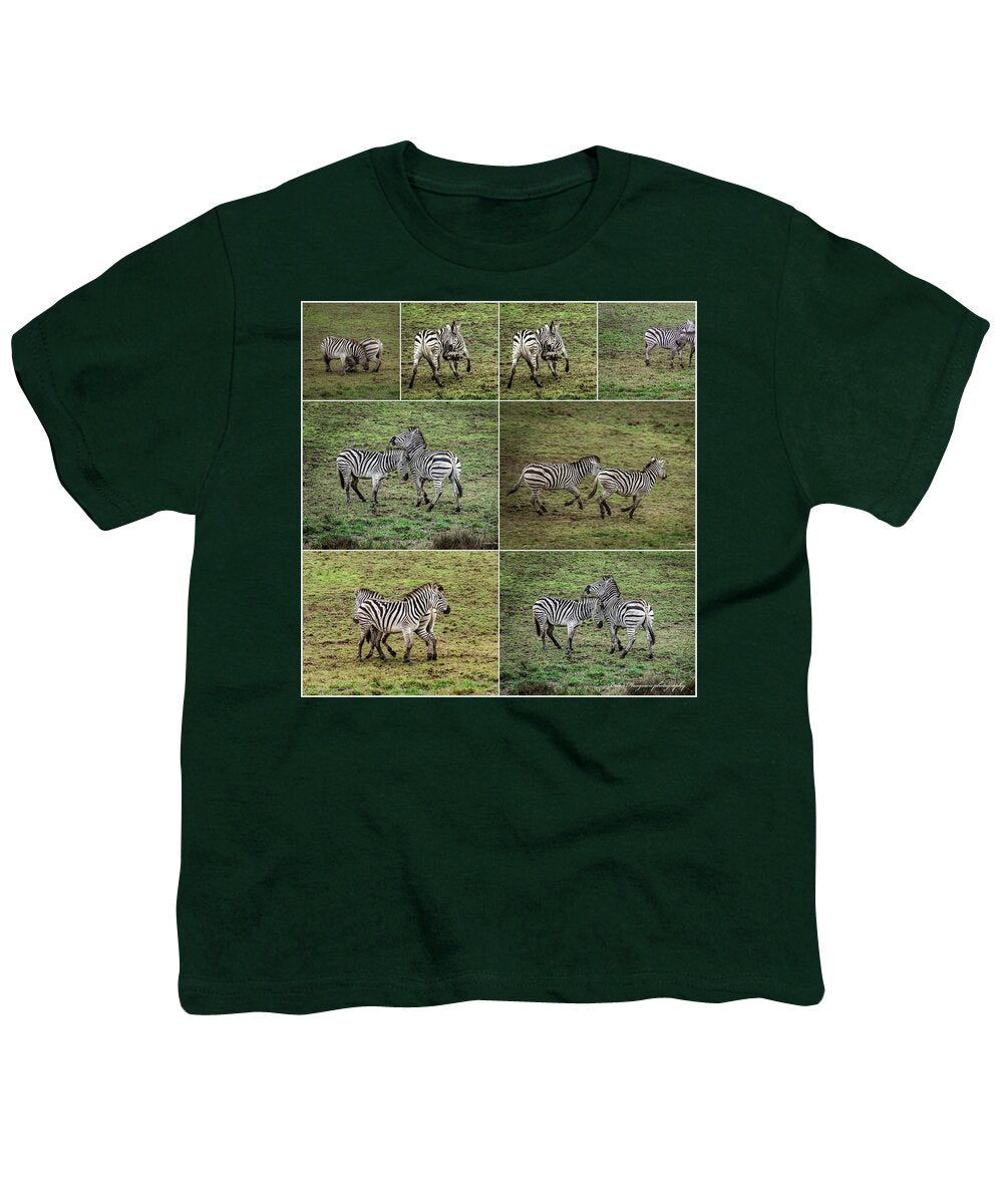 Zebras in play - Youth T-Shirt