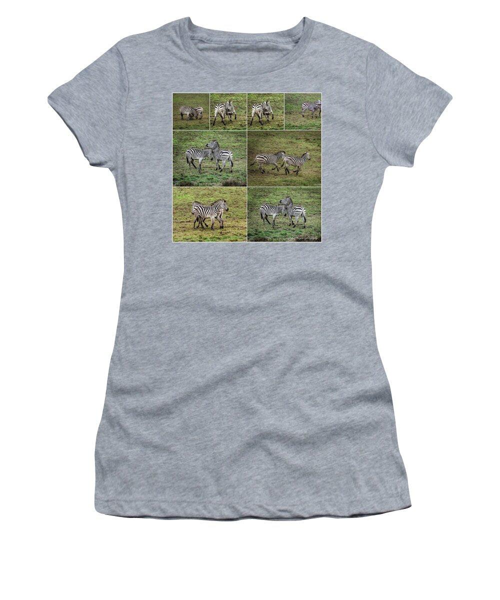 Zebras in play - Women's T-Shirt