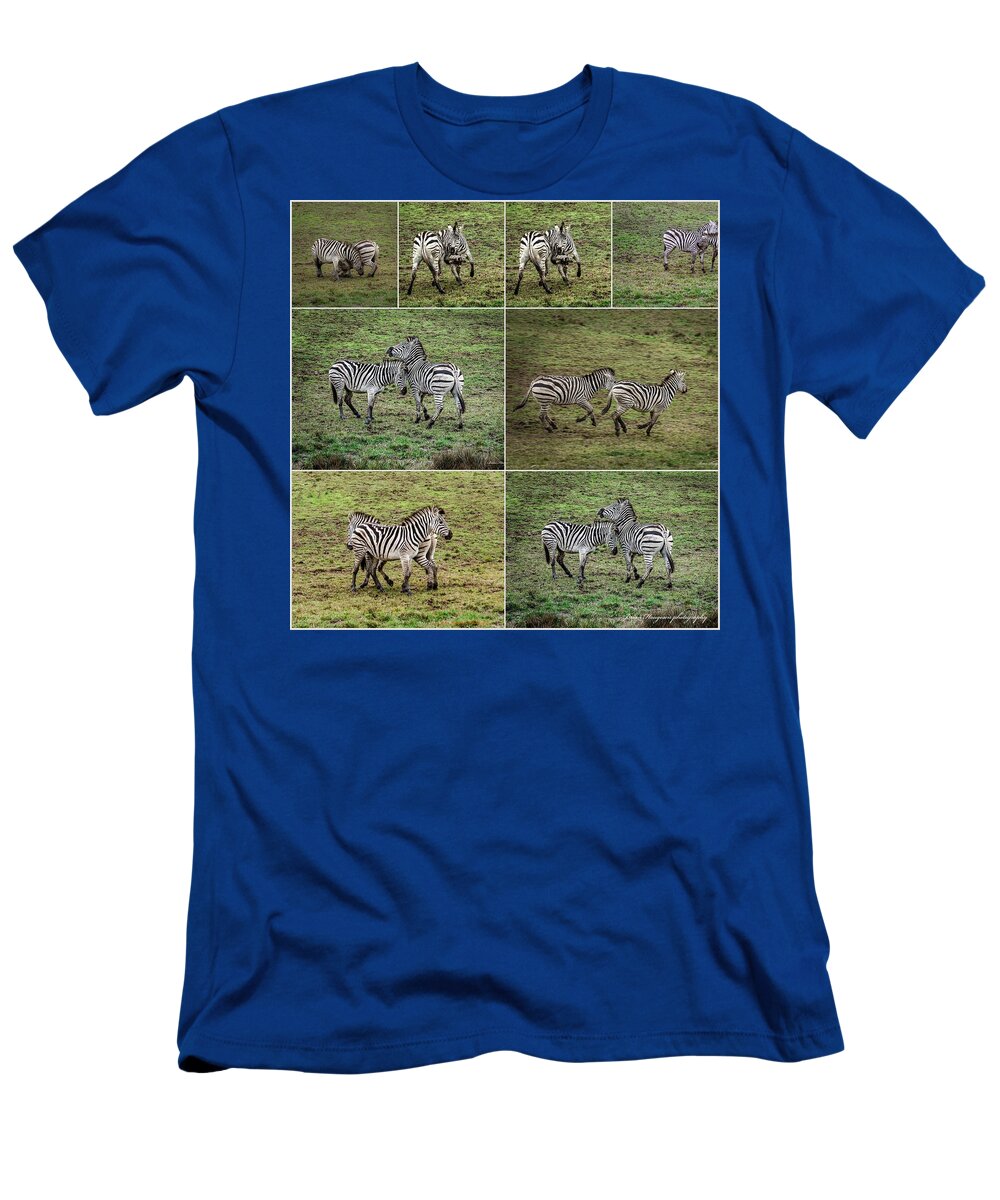 Zebras in play - T-Shirt