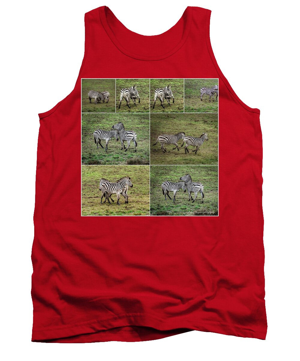 Zebras in play - Tank Top
