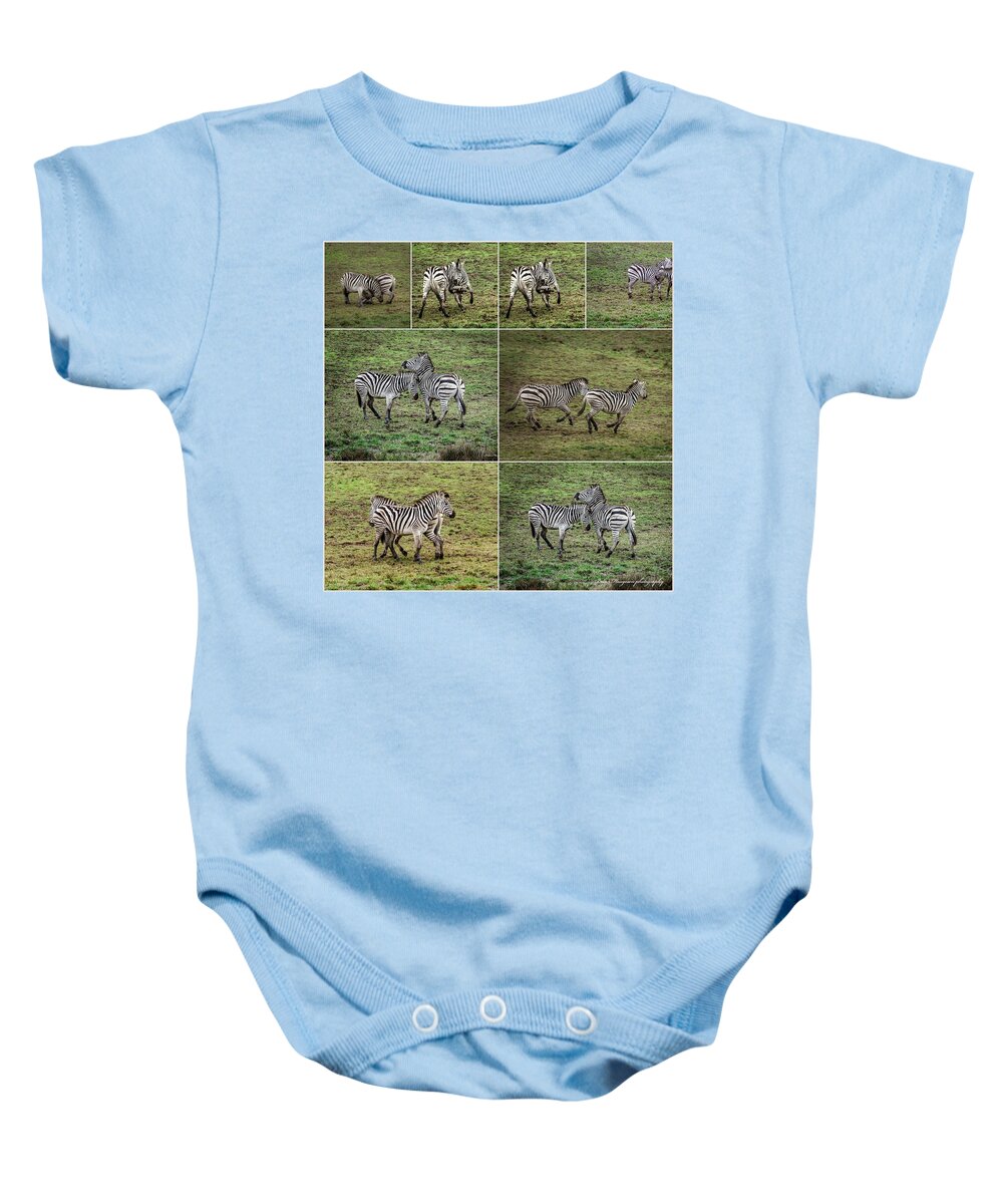 Zebras in play - Baby Onesie