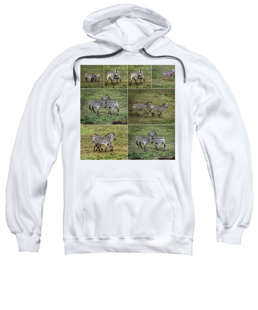 Zebras in play - Sweatshirt