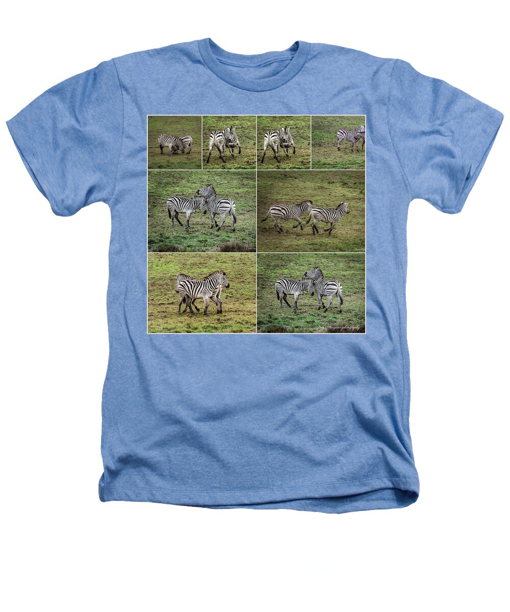 Zebras in play - Heathers T-Shirt