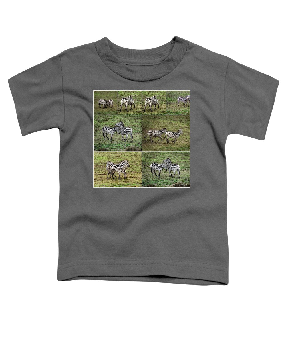 Zebras in play - Toddler T-Shirt