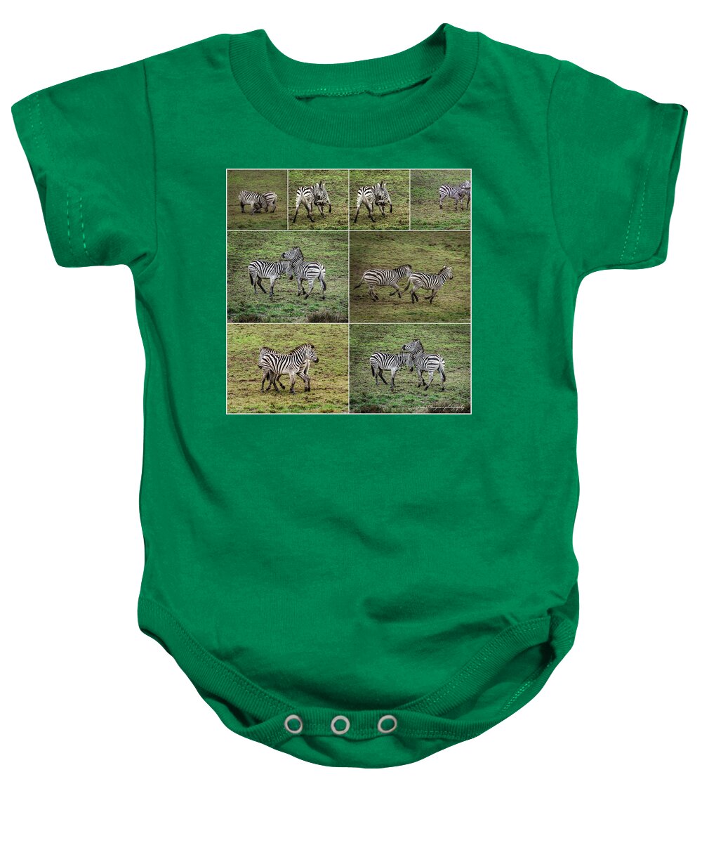 Zebras in play - Baby Onesie