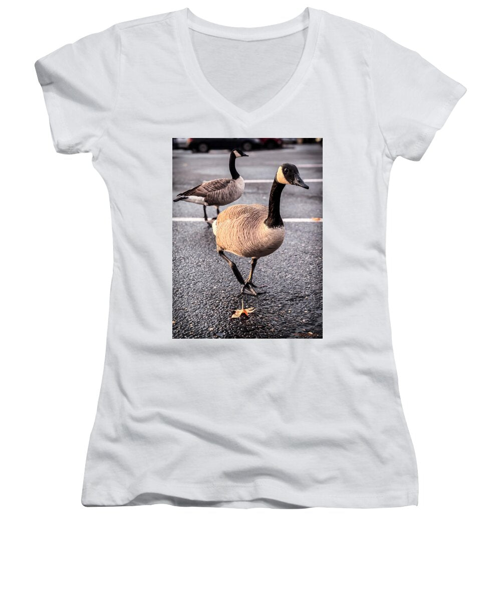 women's tops