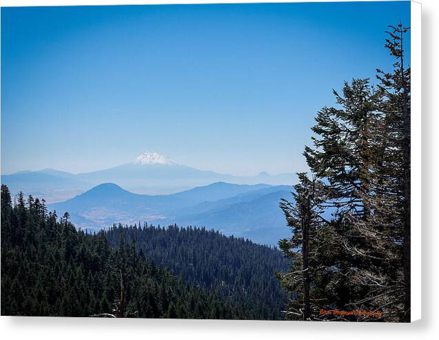 Mt Shasta in the haze 1 - Canvas Print