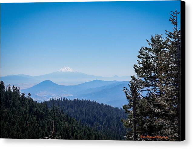 Mt Shasta in the haze 1 - Canvas Print