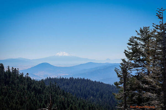 Mt Shasta in the haze 1 - Art Print