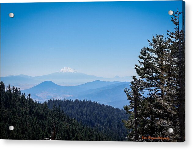 Mt Shasta in the haze 1 - Acrylic Print