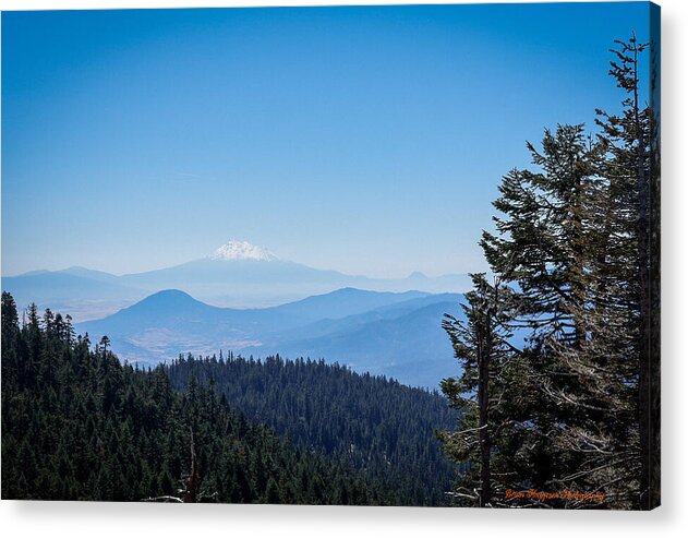 Mt Shasta in the haze 1 - Acrylic Print