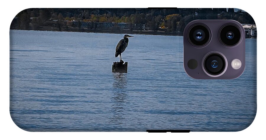 Seagull  1 - Phone Case