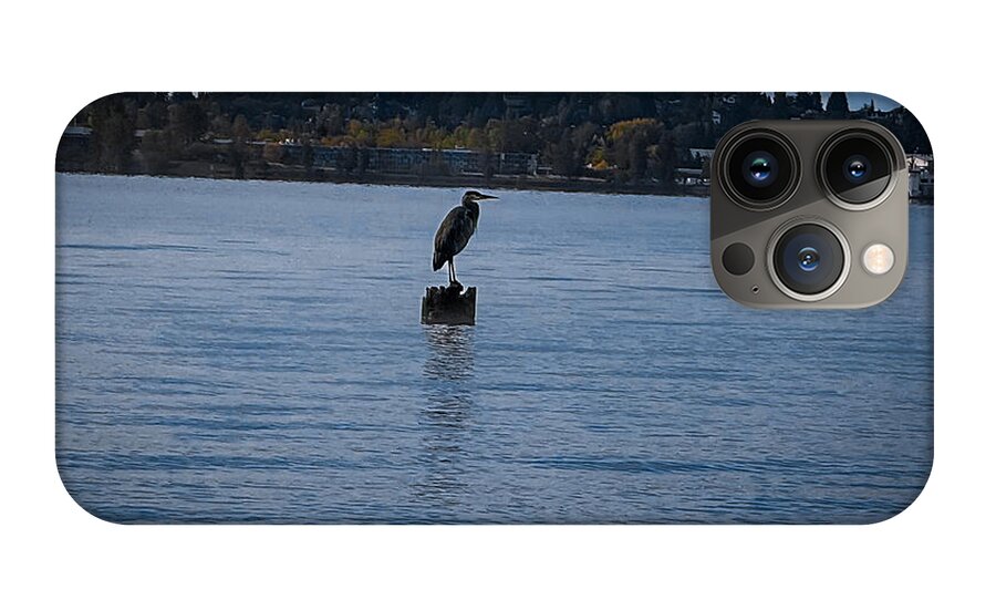 Seagull  1 - Phone Case