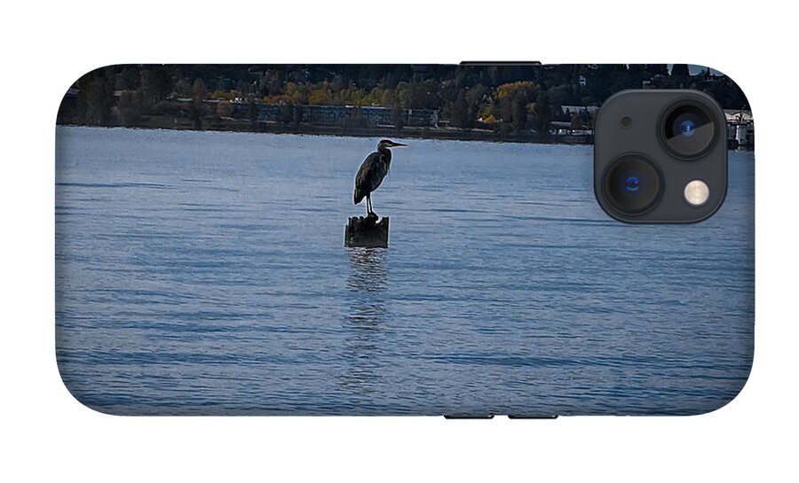 Seagull  1 - Phone Case