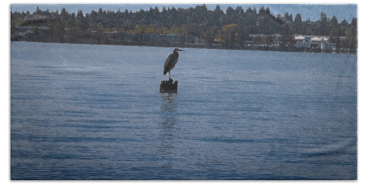 Seagull  #1 - Bath Towel