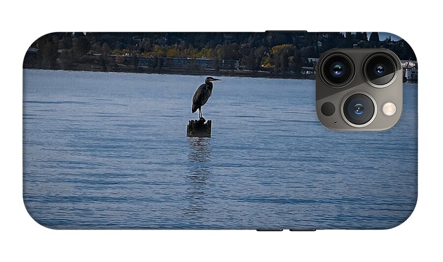 Seagull  1 - Phone Case