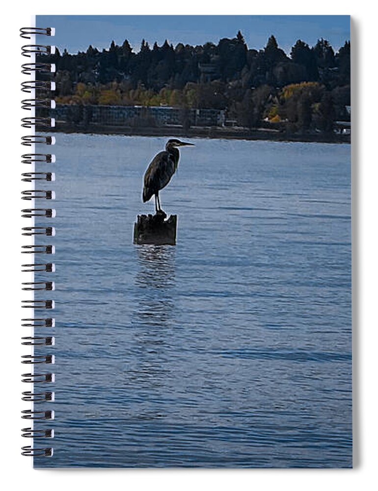 Seagull  1 - Spiral Notebook