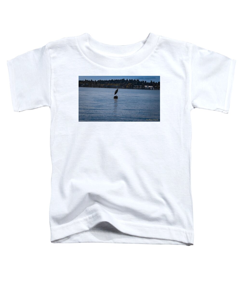 Seagull  #1 - Toddler T-Shirt