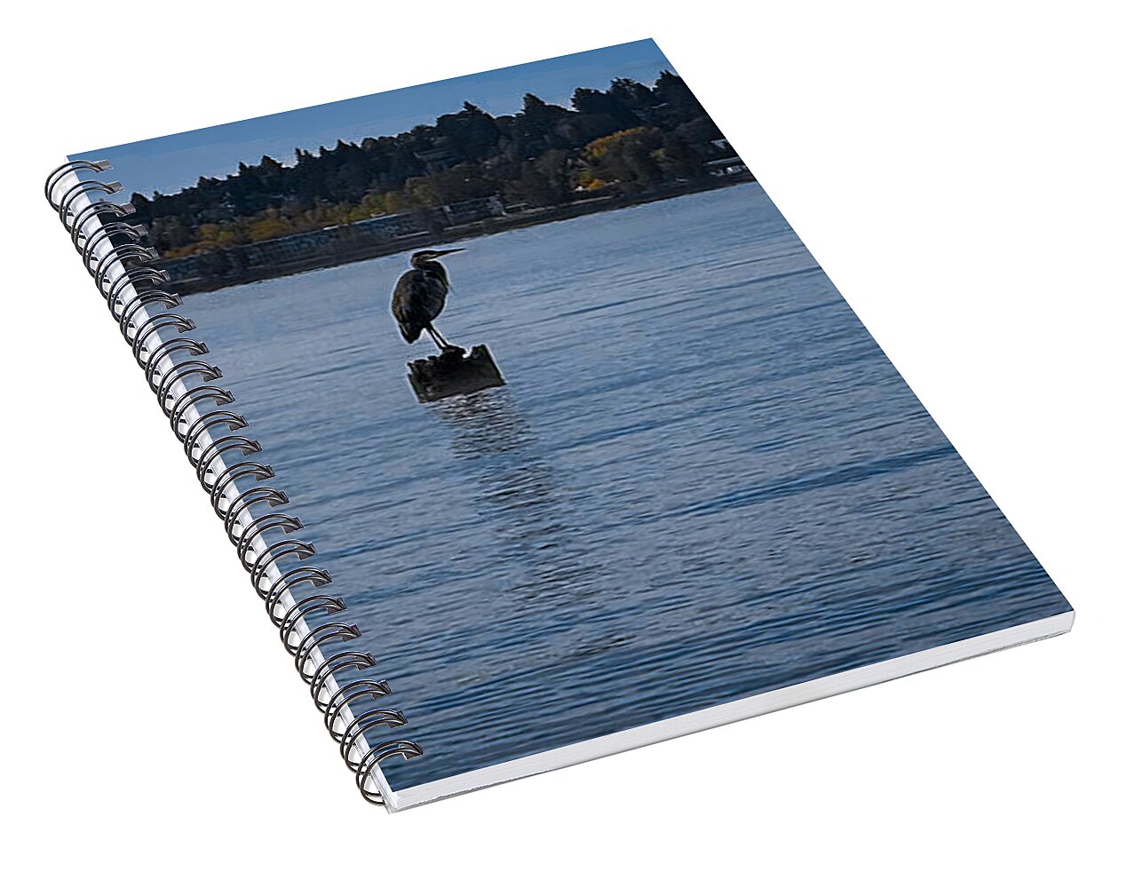 Seagull  1 - Spiral Notebook