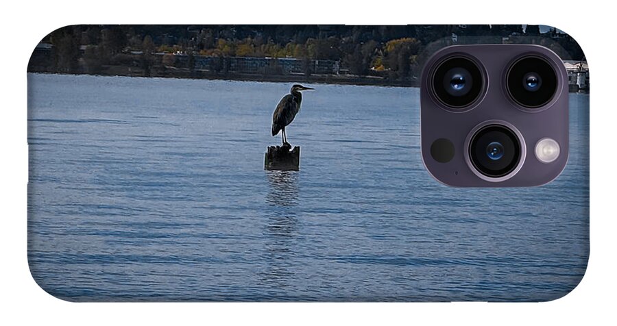 Seagull  1 - Phone Case