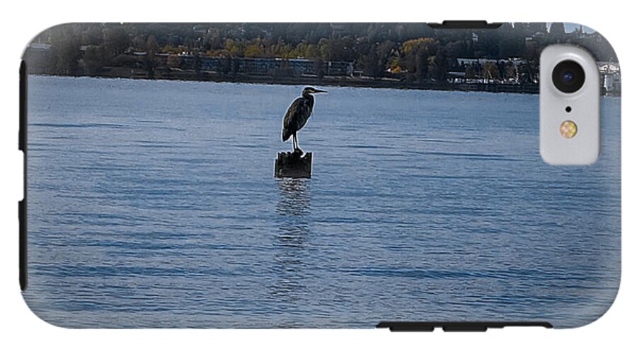 Seagull  1 - Phone Case