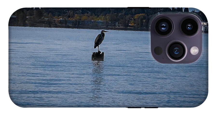Seagull  1 - Phone Case