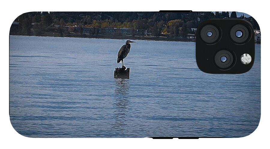 Seagull  1 - Phone Case