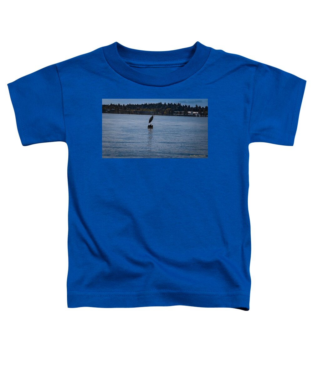 Seagull  #1 - Toddler T-Shirt