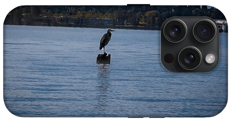 Seagull  1 - Phone Case
