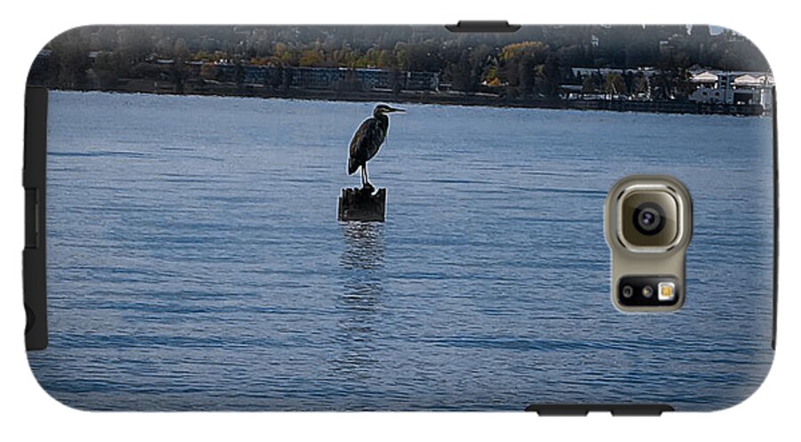 Seagull  1 - Phone Case