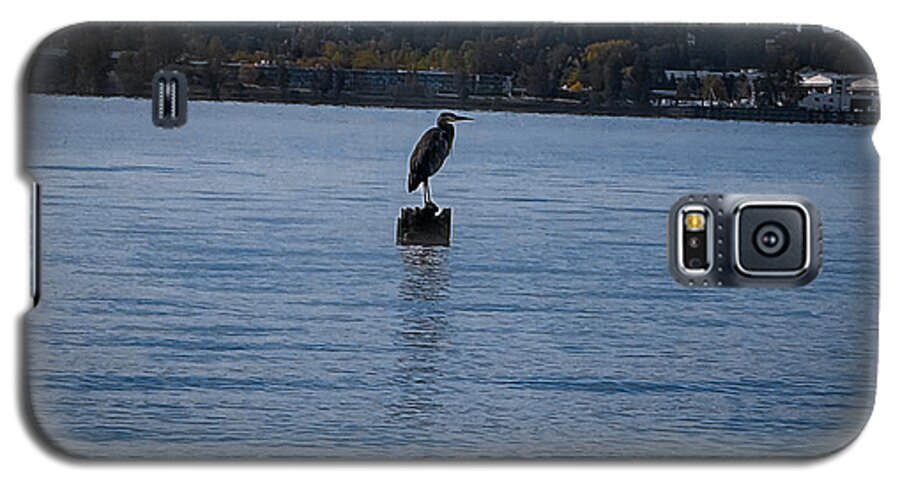 Seagull  1 - Phone Case