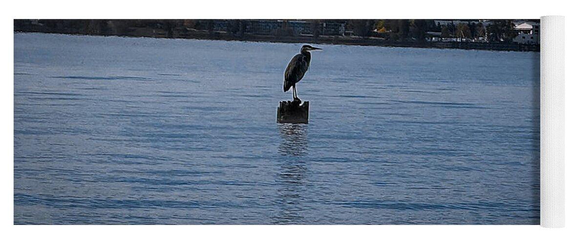 Seagull  1 - Yoga Mat