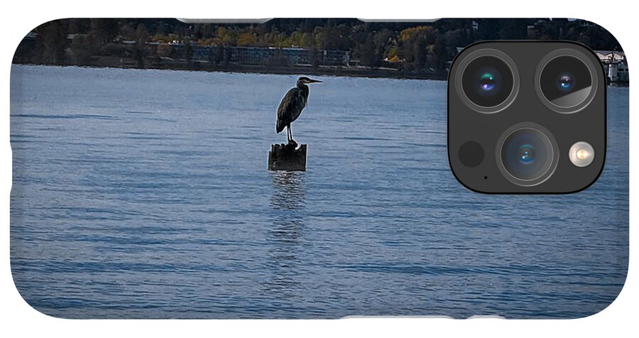 Seagull  1 - Phone Case