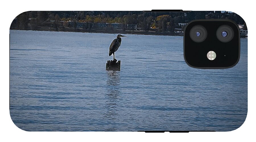 Seagull  1 - Phone Case