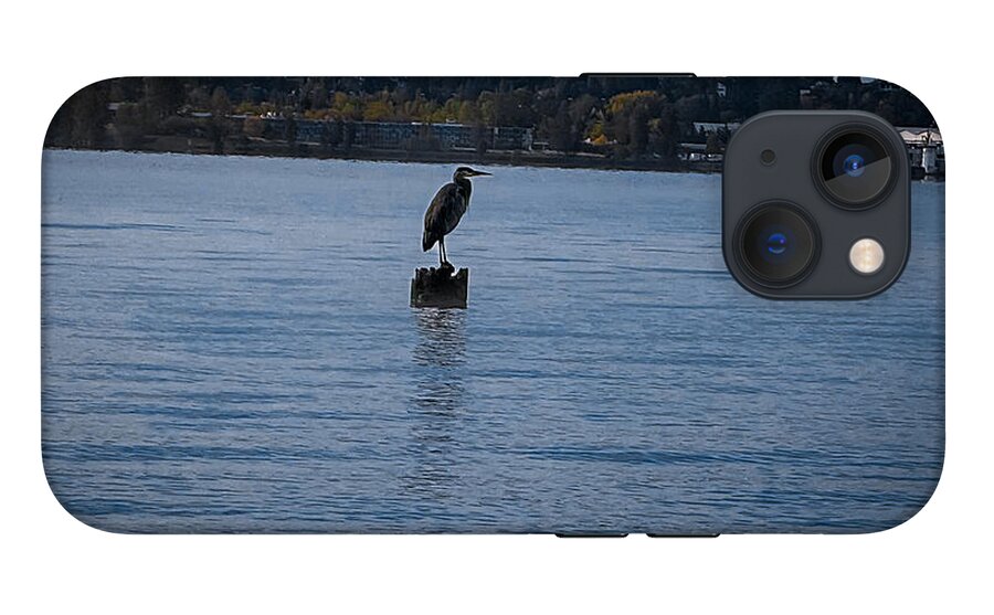 Seagull  1 - Phone Case