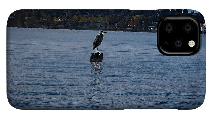 Seagull  1 - Phone Case
