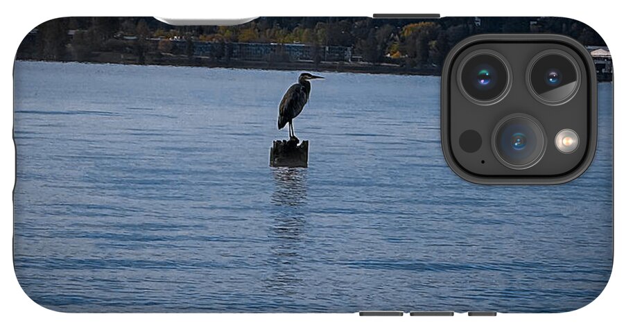 Seagull  1 - Phone Case