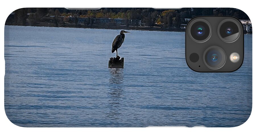 Seagull  1 - Phone Case