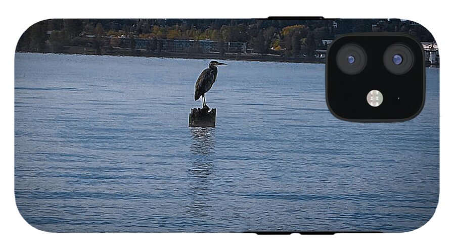 Seagull  1 - Phone Case