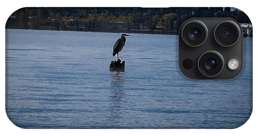 Seagull  1 - Phone Case