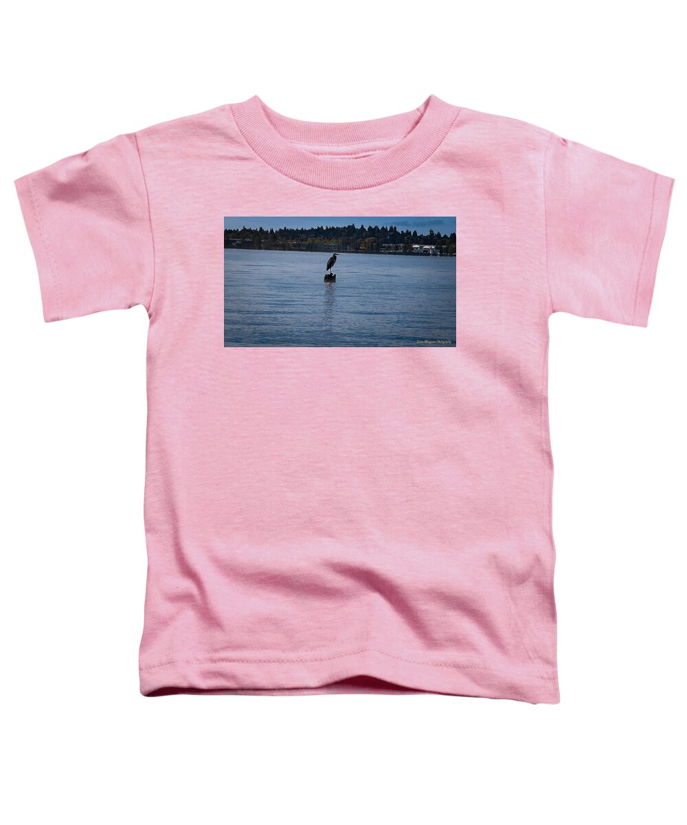 Seagull  #1 - Toddler T-Shirt