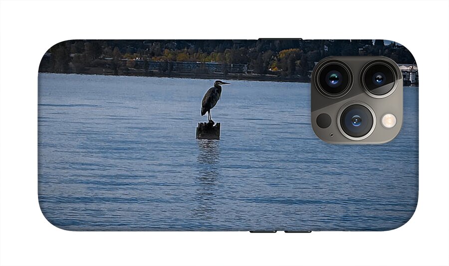Seagull  1 - Phone Case