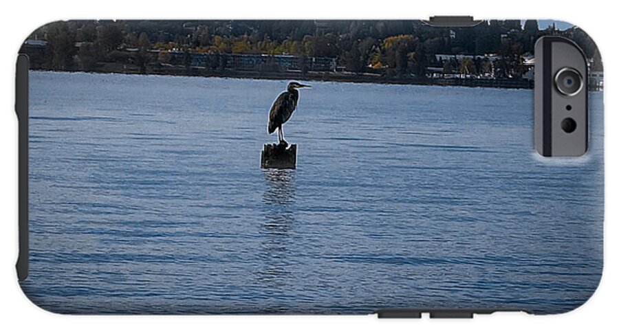 Seagull  1 - Phone Case