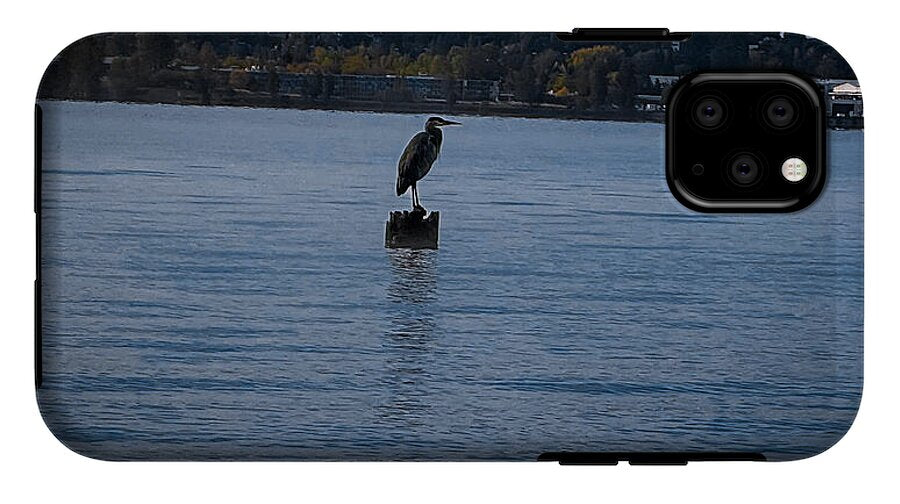 Seagull  1 - Phone Case